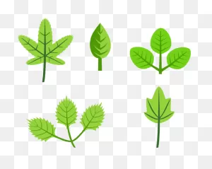 Leaves Tree Vines Branches Clip Art (115462) Free PNG-WebP Download / 4 ClipartFlare.com 