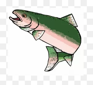 A Rainbow Trout - ClipartFlare