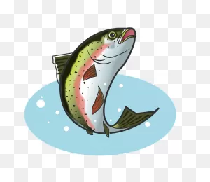 Rainbow Trout Fish Clipart. Free Download Transparent .png | ClipartFlare