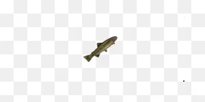 Small Trout, New World Database | Newworldfans ClipartFlare.com