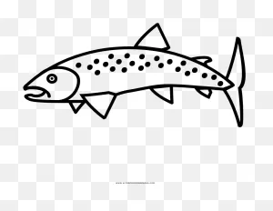 Trout Clipart - Full Size Clipart (#2463108) - ClipartFlare