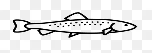 Trout PNG-WebP Png Icon Free Download (#438648) - Onlinewebfonts ClipartFlare.com