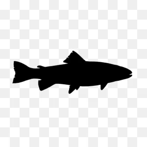 Trout Vector - ClipartFlare