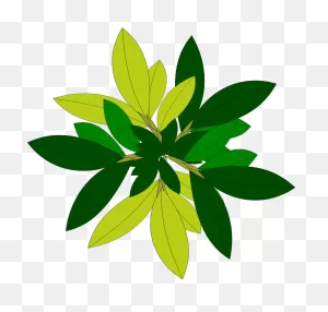 Tree 08 By Jpenrici Tree Top View #kw8Vml - Clipart Suggest