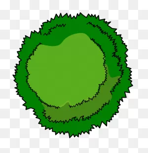 Tree Top View Clipart - Clipart Suggest