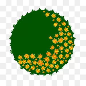 Tree Top View | Free PNG-WebP