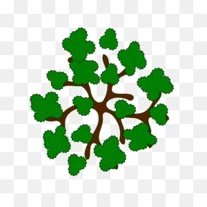 Tree Top View Clipart - Clipart Suggest