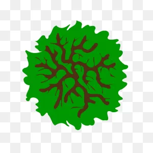 Tree Top View Clipart - Clipart Suggest