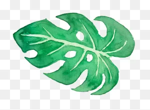 View Full Size Tropical Clipart Tropical Leave - Tropical Leaves ClipartFlare.com 