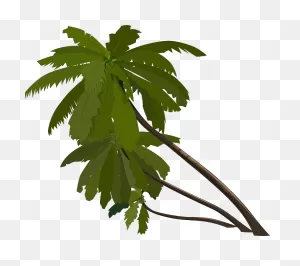 Free Photo Tree Palm Fan Palm Plant - Max Pixel