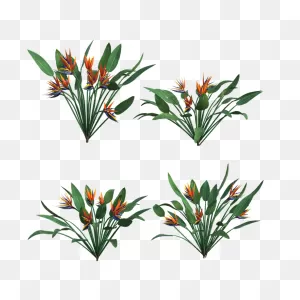 Flowers Tropical Leaves - Free Image On ClipartFlare