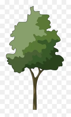 Download Branch Japanese Maple Tree Clip Art - Trees In Elevation ClipartFlare.com 