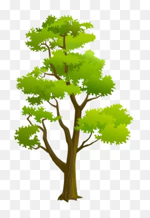 Trees Elevation