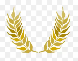 Download Hd Ramo De Trigo Png - Wheat Clip Art Transparent Png ClipartFlare.com 