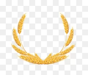 Wheat Decoration Png Clipart Image | Boda De Trigo, Espiga De ClipartFlare.com 