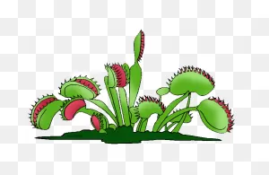 Free Trap Cliparts, Download Free Trap Cliparts Png Images, Free ClipartFlare.com 