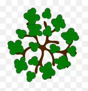 28 Collection Of Trees Clipart Top View - Tree Top View Cartoon ClipartFlare.com 