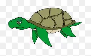 Free Turtle Clipart 2 - ClipartFlare