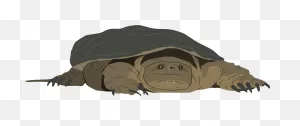 Snapping Turtle