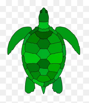 Turtle Clipart. Free Download Transparent .png | ClipartFlare