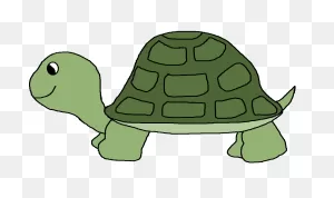 Turtle Clip Art Free Cartoon - ClipartFlare