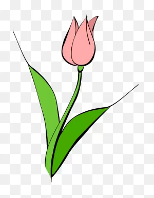 Free Tulip Images, Download Free Tulip Images Png Images, Free ClipartFlare.com 