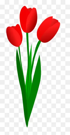 Free Tulip Cliparts, Download Free Tulip Cliparts Png ClipartFlare.com 