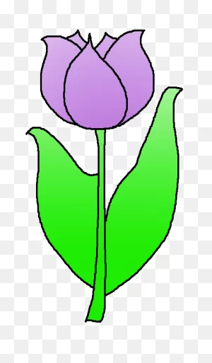Image Of Tulip Free Download Clip Art On - ClipartFlare