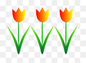 Tulip Clipart - Png Download - Full Size Clipart (#5535181 ClipartFlare.com 