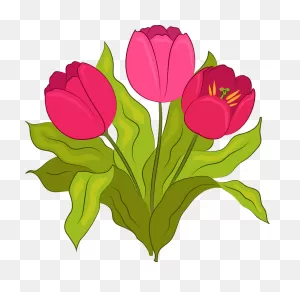 Tulip Clipart. Free Download Transparent .png | ClipartFlare