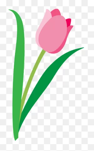 Tulip Clipart. Free Download Transparent .png | ClipartFlare