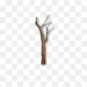 Download Gray Twig Tree Branches Branch Free Download Image ClipartFlare.com 