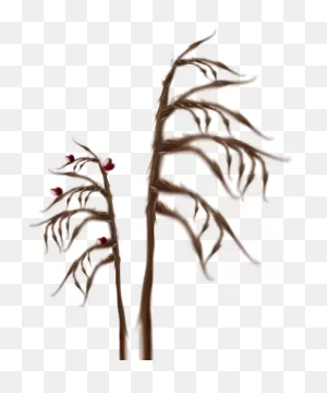 Grass B 1Particles 6 - Twig Clipart - Large Size Png Image - ClipartFlare