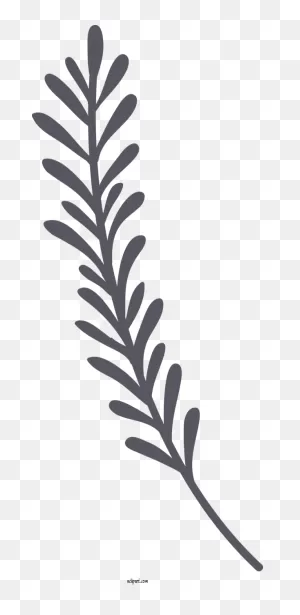 Nature Twig Plant Stem Leaf For Leaf - Leaf Clipart Nature Clip Art