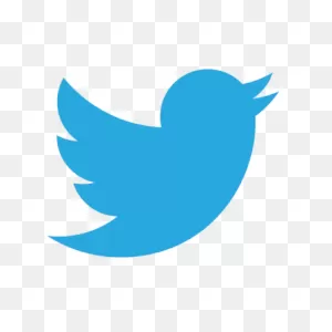 Free Twitter Bird Transparent Background, Download Free Twitter ClipartFlare.com 
