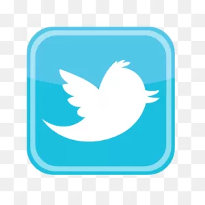Twitter Bird Icon Vector, Download Twitter Vector Icon