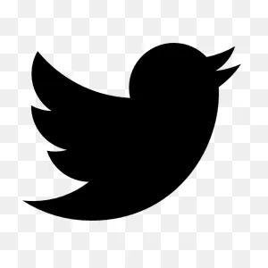 Free Twitter Bird White Png, Download Free Twitter Bird White Png ClipartFlare.com 