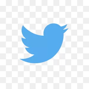 Twitter Icon: Blue — Lter In Europe