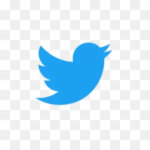 How To Tweet – What Is A Tweet, Keyboard Shortcuts, And Sources