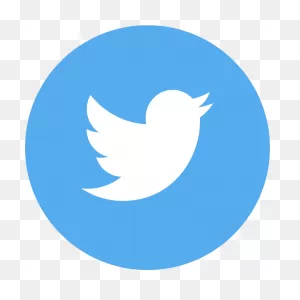 Twitter Follow Button: Add The Twitter Button To Your Website