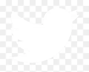 Logo Twitter Png Blanc - White Twitter Logo Transparent Clipart ClipartFlare.com 