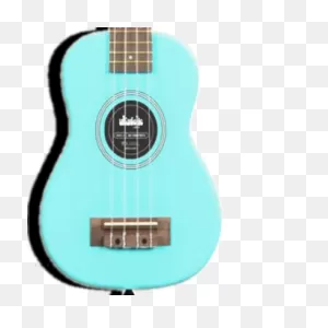 Kala Ukadelic Solid Color Soprano Ukulele : Dietze Music