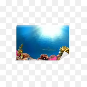 An Underwater Scene With Sun Rays Wall Mural • Pixers® - We Live ClipartFlare.com 