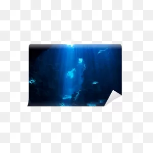 Underwater Background Wall Mural • Pixers® - We Live To Change