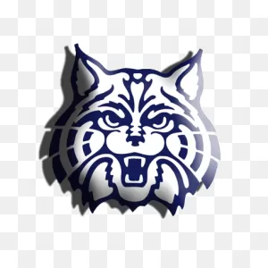 16 Sports Ideas | University Of Arizona, Wild Cats, Arizona Wildcats