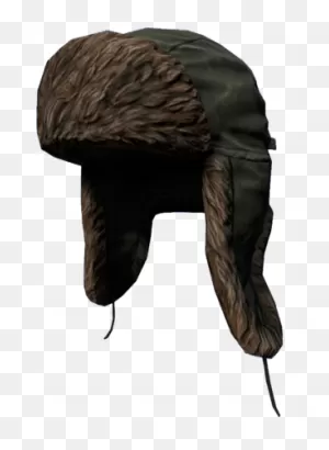 Ushanka - Dayz Wiki