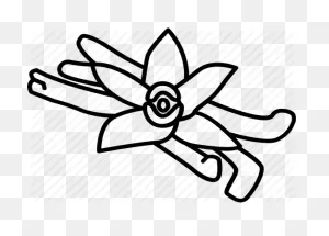 Black And White Flower Clipart - Food, White, Flower, Transparent ClipartFlare.com 