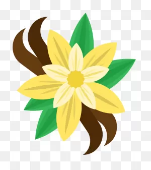 Vanilla Flower Clipart. Free Download Transparent .png | ClipartFlare