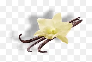 Vanilla Rum - Blue Chair Bay® Rum