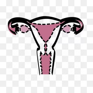 Birth Control And Vaginal Dryness | Does Birth Control Make You Dry?